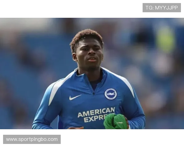 曼联转会策略：近期引援表现波动，对球队竞争格局带来变化