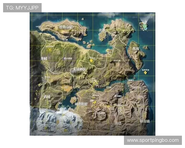 琼阿梅尼关键战表现稳定性与战术作用争议