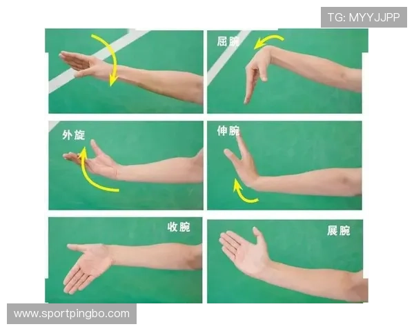 篮球比赛中发界外球的正确位置判断，底线发球规则与违例情况解析。